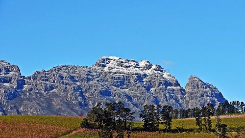 Neige sur les montagnes de Stellenbosch