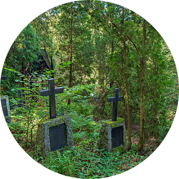 Verborgen begraafplaats diep in het bos