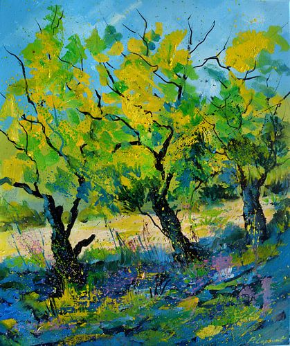 Drie bomen in de zomer