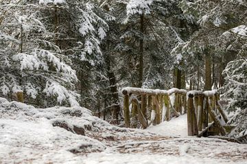 Wooden bridge covered in fresh snow