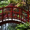 Rote Brücke im japanischen Garten Clingendael von Dlanor