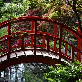 Rode brug in Japanse Tuin Clingendael  van Ronald H