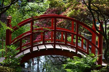 Rode brug in Japanse Tuin Clingendael  van Ronald H