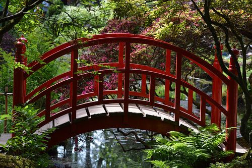Rote Brücke im japanischen Garten Clingendael von Dlanor
