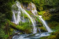Panther Creek Falls van Henk Meijer Photography thumbnail