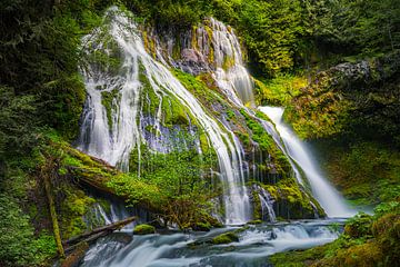 Panther Creek Falls van Henk Meijer Photography