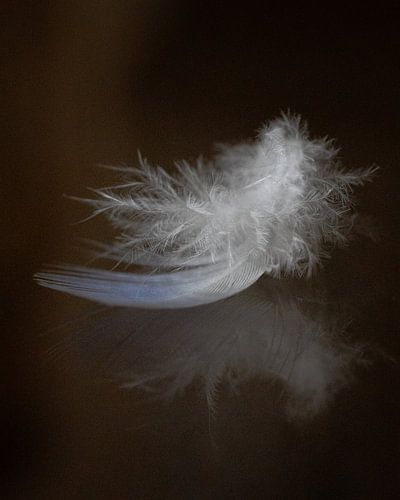 La légèreté de l'être