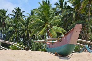 Fishing boat and palms on beach Sri Lanka by My Footprints