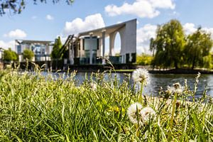 Pusteblumen vor dem Berliner Bundeskanzleramt