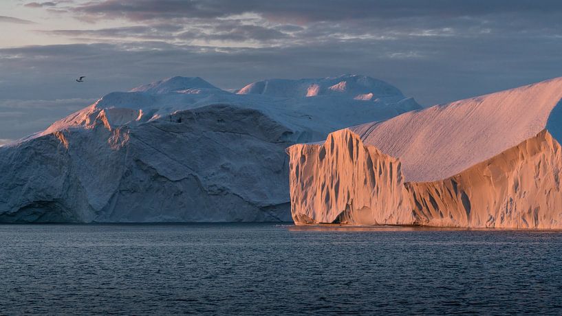 Icebergs in the midnight sun in Greenland by Anges van der Logt