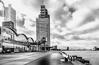 Cruise terminal Rotterdam Wilhelminapier Zwart wit  by Midi010 Fotografie thumbnail