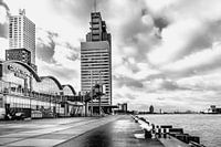 Cruise terminal Rotterdam Wilhelminapier Zwart wit 