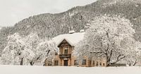 House in the mountains
