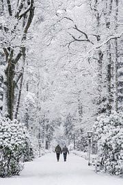 Two People, One Path by Mitchell van Eijk