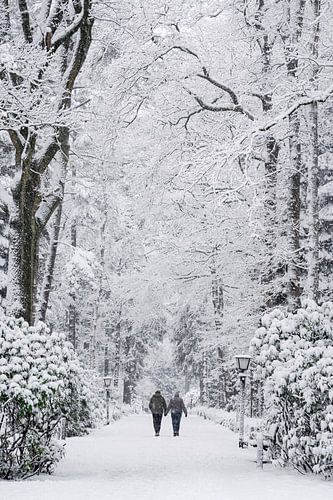 Two People, One Path by Mitchell van Eijk