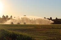 Water canon in the sweltering summer evening heat I