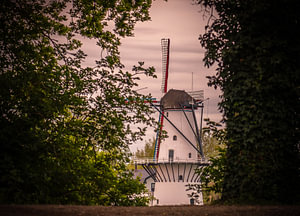 verborgene Mühle