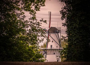 moulin caché sur Tania Perneel