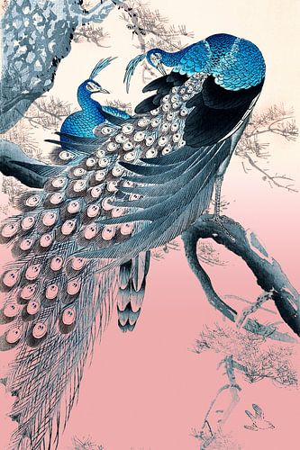 Vintage Pauw op Pastel Schilderij