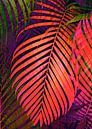 COLORFUL TROPICAL LEAVES no3 van Pia Schneider thumbnail