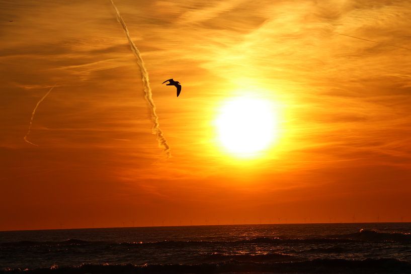  Zandvoort zonsondergang  von Veli Aydin