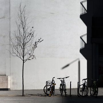 Bicycles, shadows and tree - London Canary Wharf van Maarten Visser