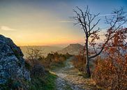 Cordes-sur-Ciel – Weg zum Himmel von Christa Thieme-Krus Miniaturansicht