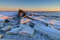 Lumière matinale d'hiver