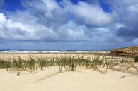 90 mile beach van Chris Rijnbeek thumbnail