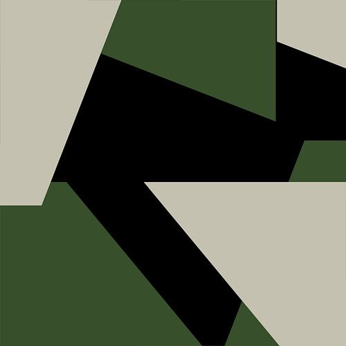 Groen Zwart Wit Abstracte Vormen nr. 7