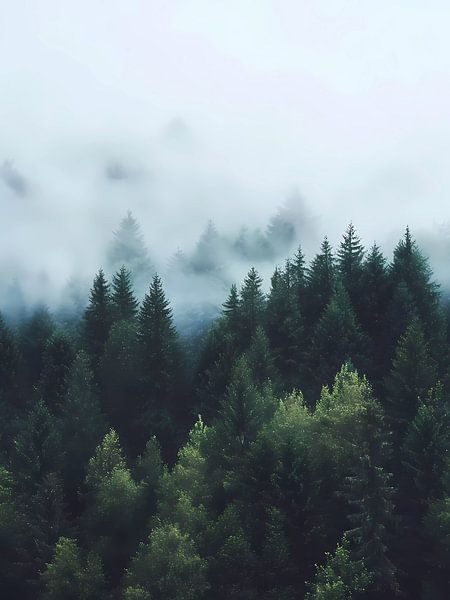 Misty forest by haroulita