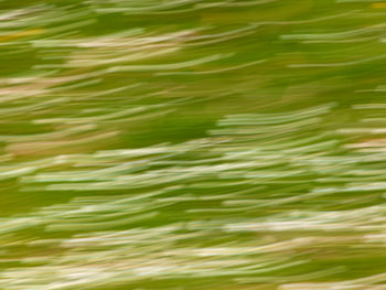 Meadow Breeze – Abstract Nature Wall Art