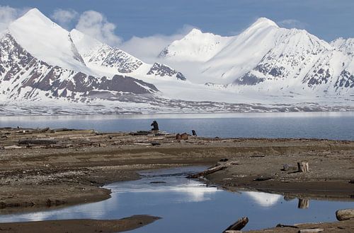Profitant de toute la solitude.