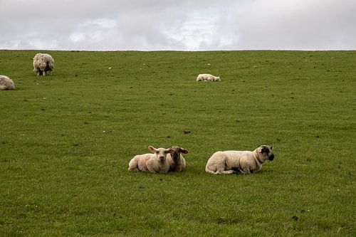 Was will der von uns?