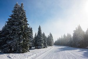 Winter im Riesengebirge in der Tschechische Republik von Rico Ködder