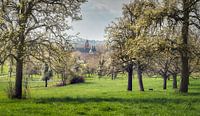 De waterburcht tussen de bloesem van Loris Photography thumbnail