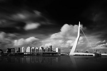 Rotterdam - Erasmus reflections by Martijn Kort