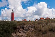Sand,dunes and the Lighthouse on Texel van Brian Morgan thumbnail