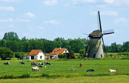 Holland by Jessica Berendsen