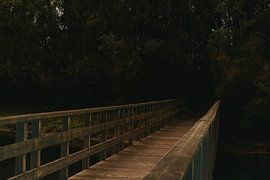 Where the path disappears by Made by Martin