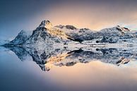  Fjord op het eiland Flakstadøy van Arnaud Bertrande thumbnail