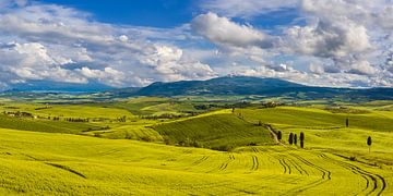 Agriturismo Podere Terrapille by Henk Meijer Photography