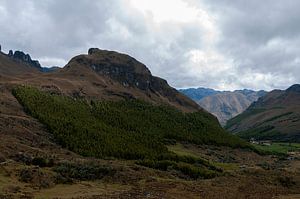 Ecuador: El Cajas National Park (Azuay)
