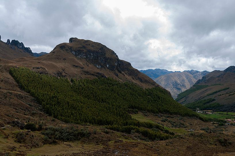 Ecuador: El Cajas National Park (Azuay) van Maarten Verhees