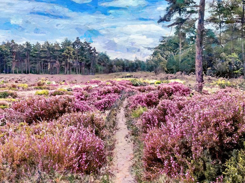 Wandelen door de paarse stilte