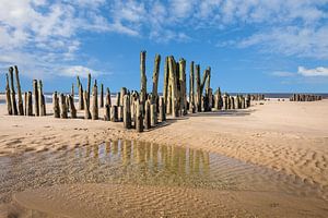Alte Buhnen am Strand von Rantum, Sylt
