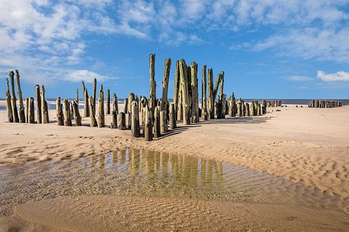 Oude kribben op het strand van Rantum, Sylt