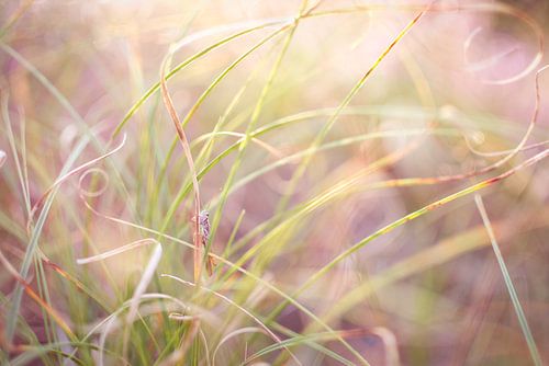 I see what you don't