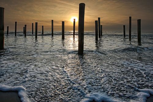 Palendorp Petten 5
