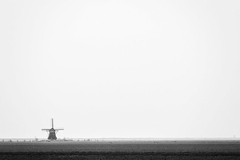 Vrij Nederland van Linda Hutten